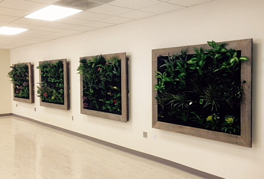 Four 6' x 5' vertical planters mounted into the wall